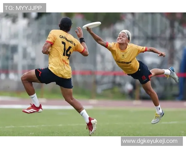 成都飞盘队团队协作表现的数据分析与提升策略探讨MBA