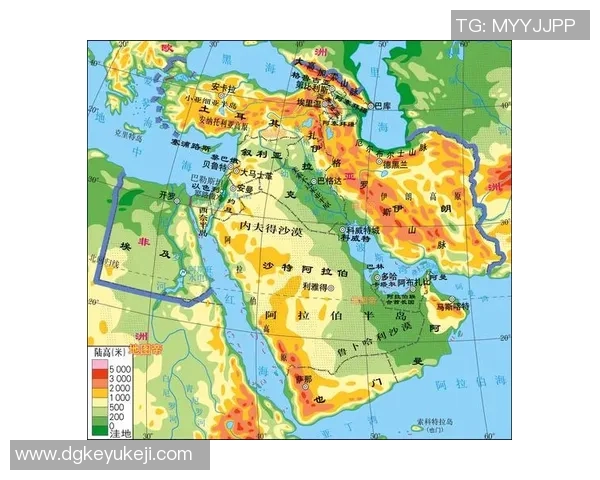 阿联酋与印度足球比赛最新比分及赔率分析一览